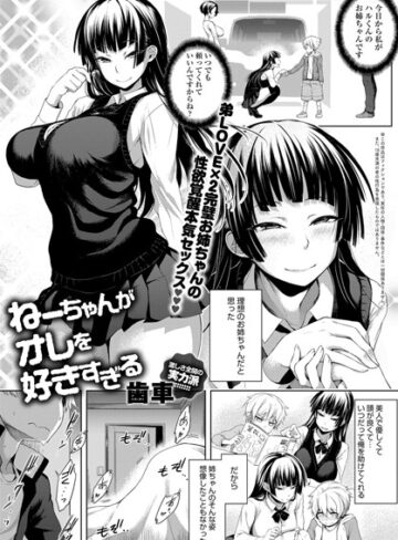 ねーちゃんがオレを好きすぎる（単話）